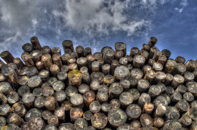 Log pile