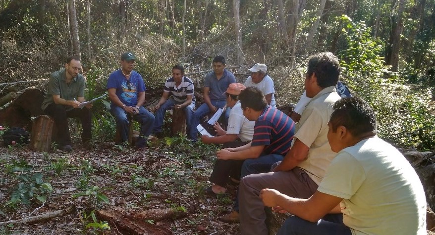 Community Forestry Operation