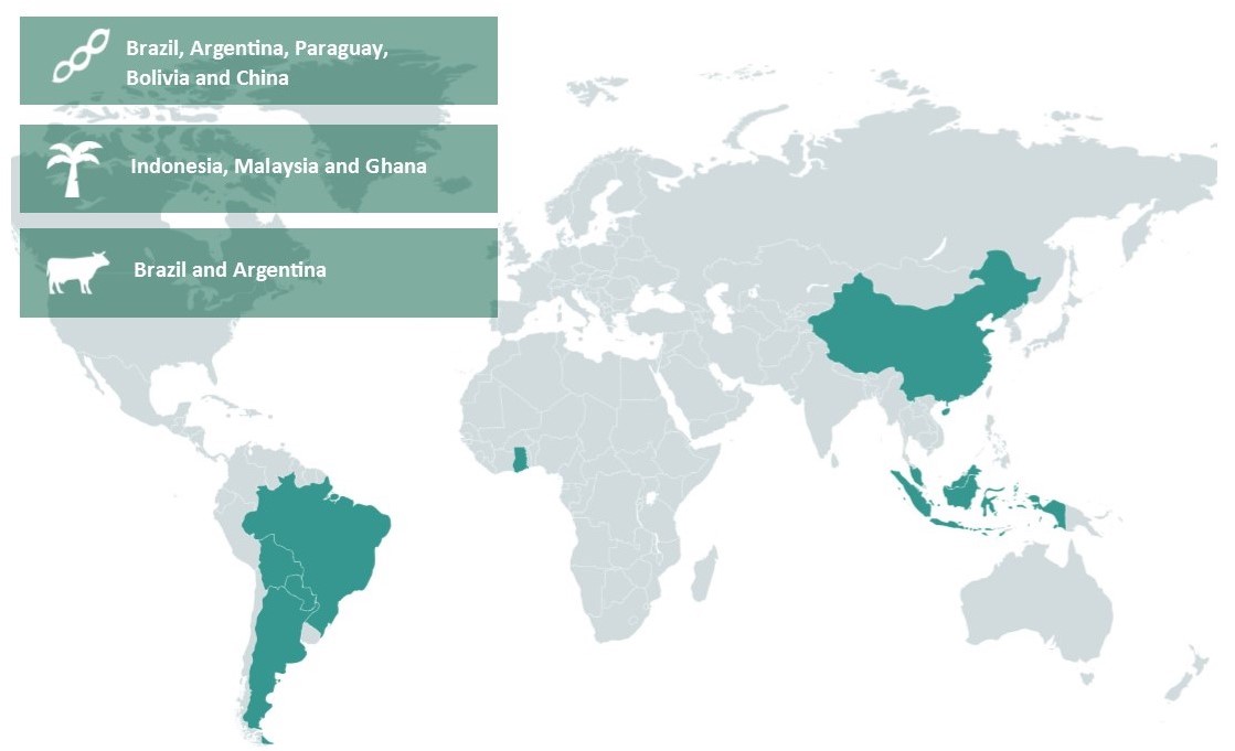 palm oil, soy and beef risk assessments