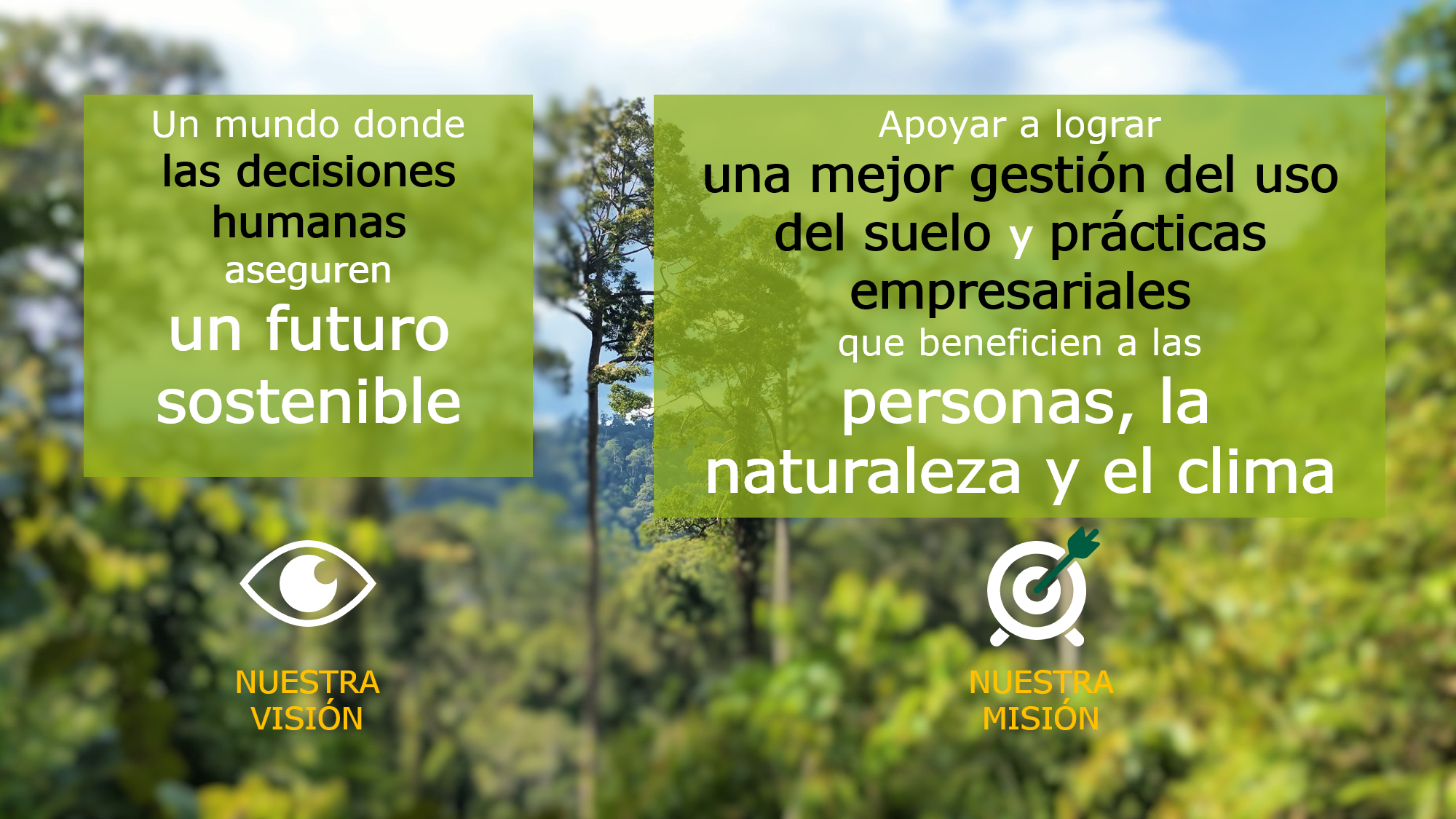 Vision y mision NEPCon