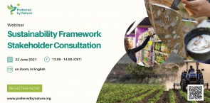 Consultation webinar 