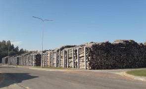 Log yard