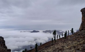 View of the La Cumbre management area of Gran Canaria