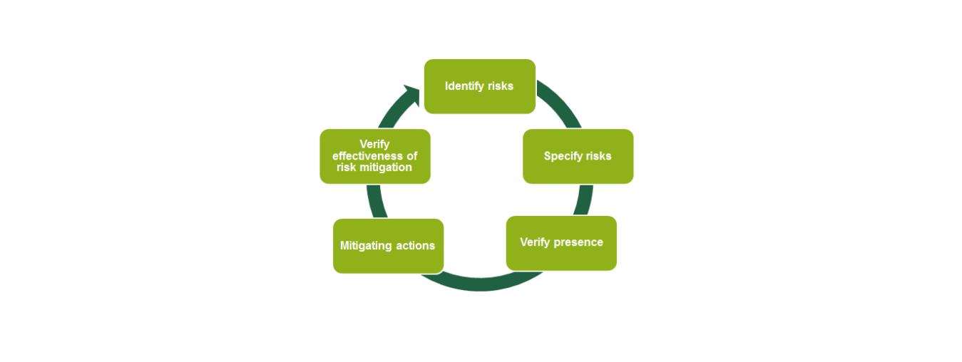 Risk assessment process