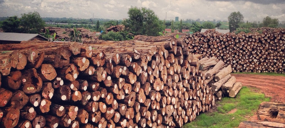 Teak depot