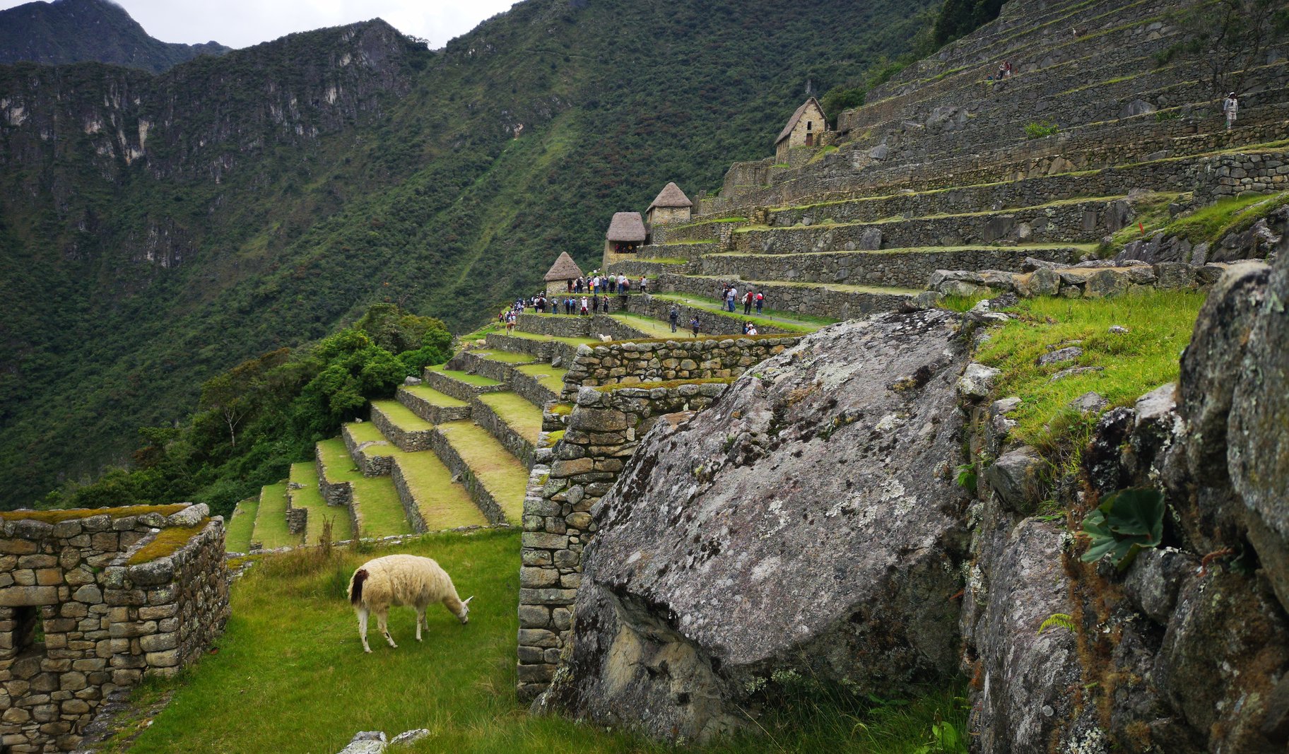 Machu pichu