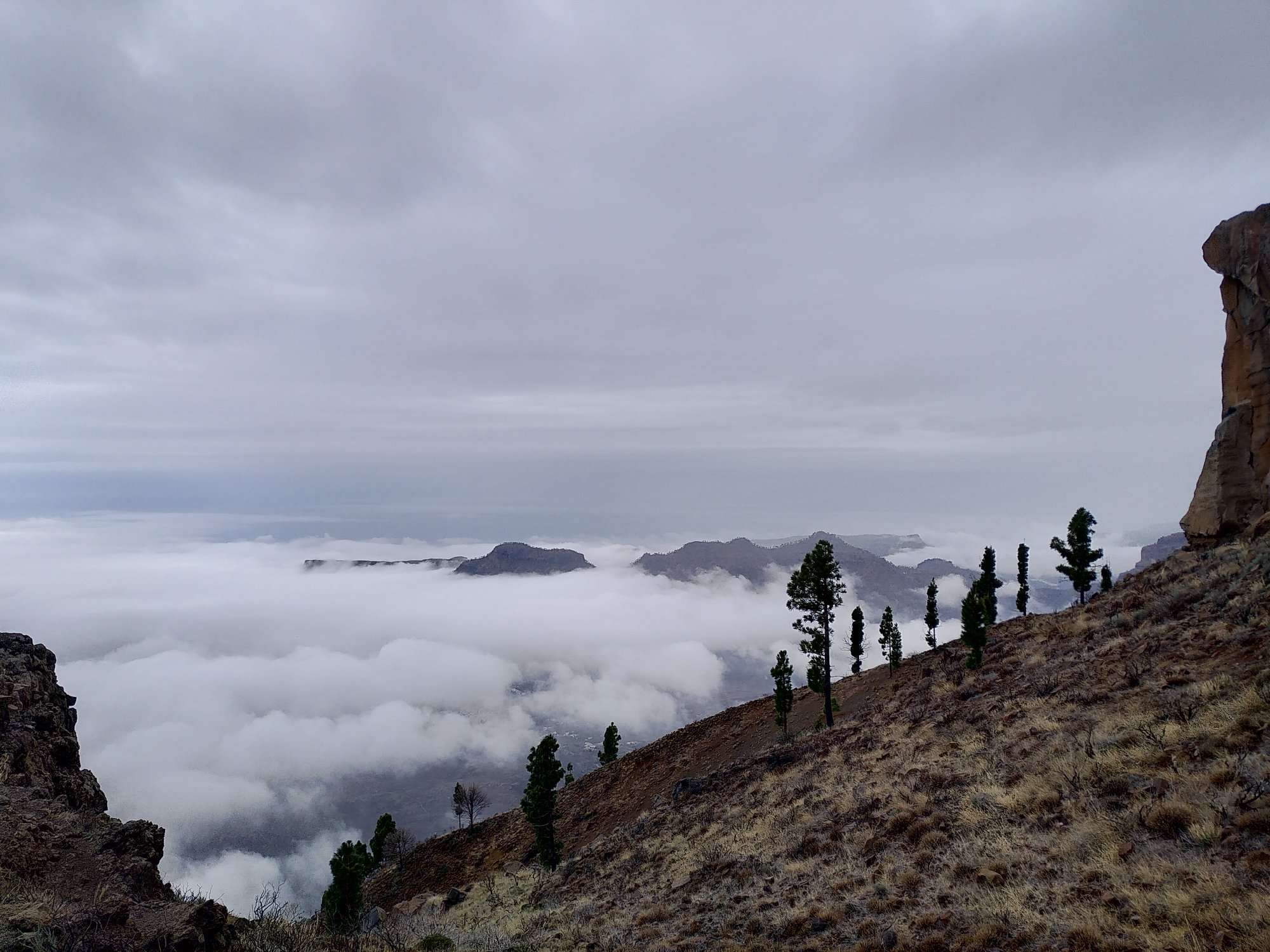 View of the La Cumbre management area of Gran Canaria