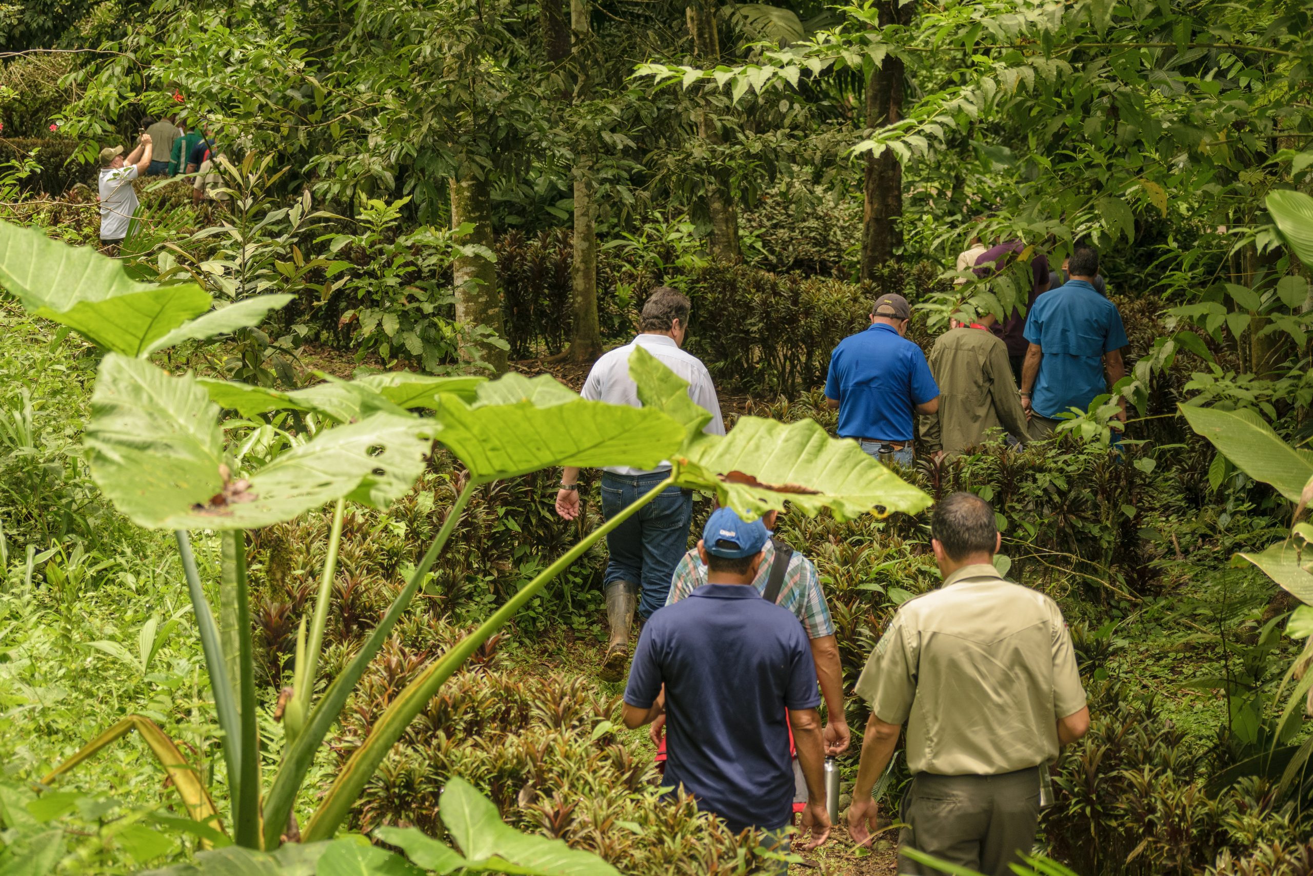 Preserving paradise: Chiquita Brands’ Nogal Reserve restoration project receives Preferred by Nature validation