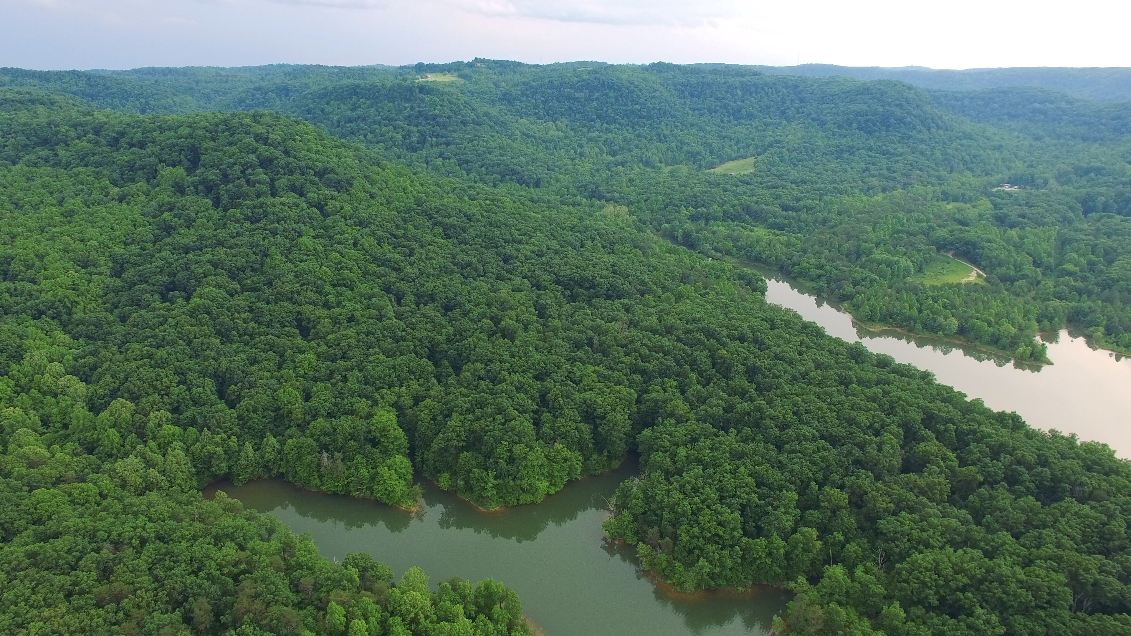 Forest surrounding Berea College