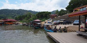 Boats and forest