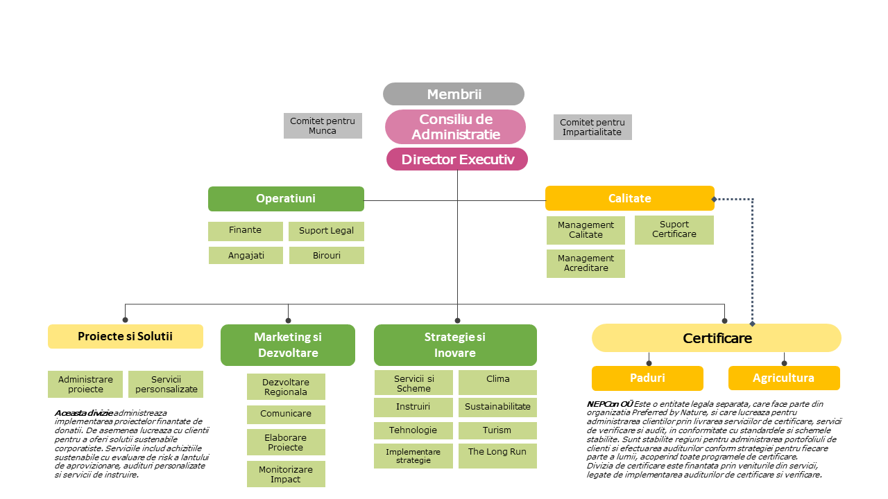 Structura organizationala