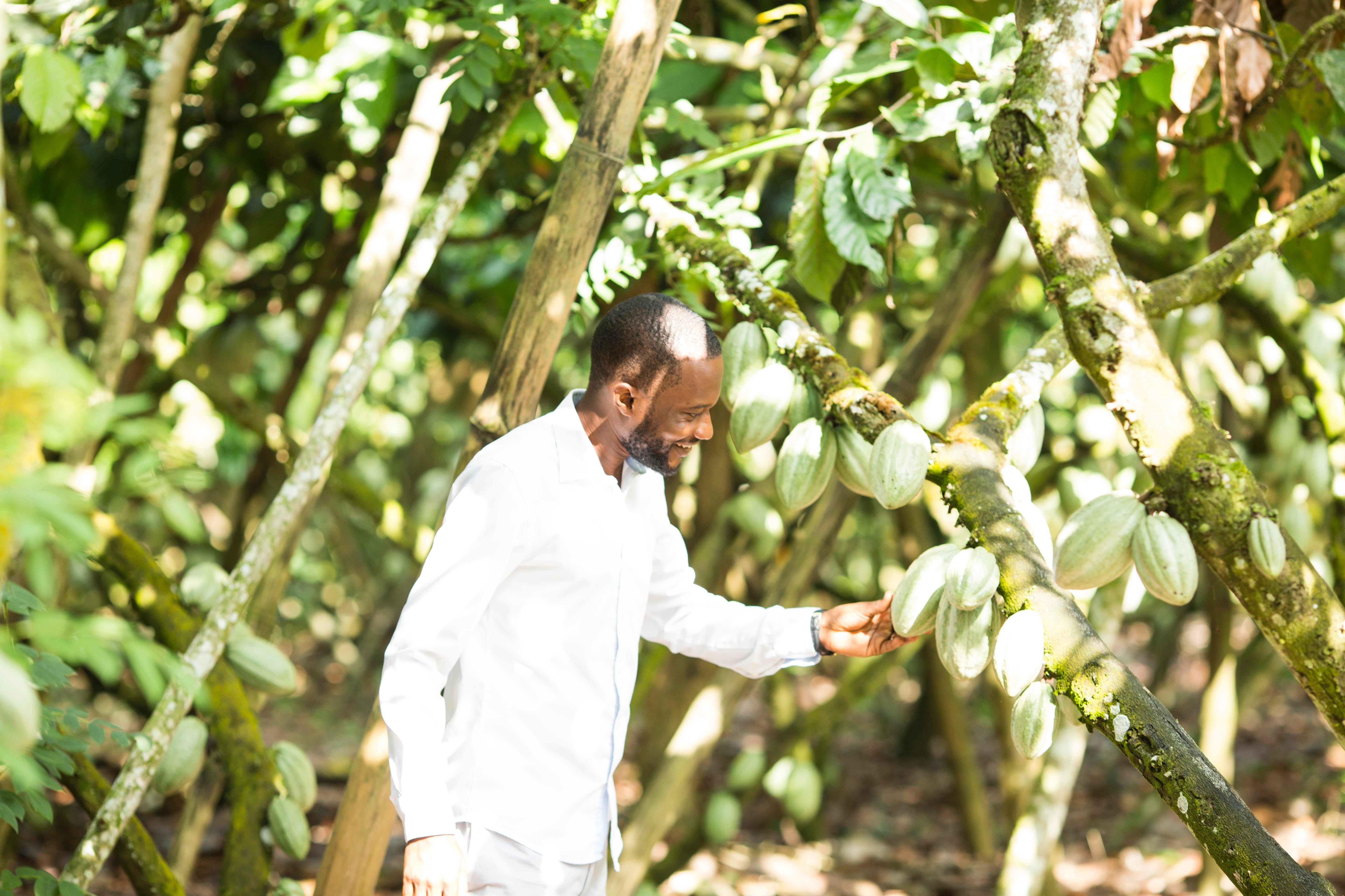 Cocoa farmer