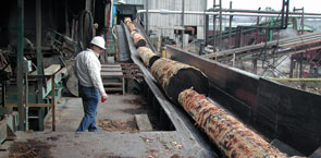 Sawmill