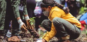 Ecosystem Restoration verification