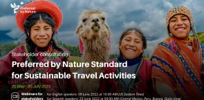 Travel standard consultation