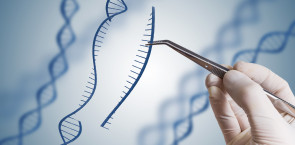 FSC gets pushback on the unprecedented genetic engineering project