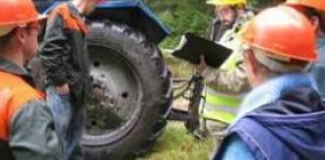 Men and contractors in forest