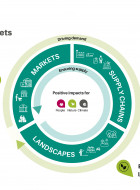 Preferred by Nature's Theory of Change