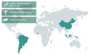 Palm oil soy and beef risk assessment map