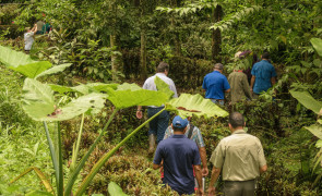 Preserving paradise: Chiquita Brands’ Nogal Reserve restoration project receives Preferred by Nature validation